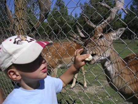 Parc animalier