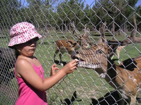 Parc animalier