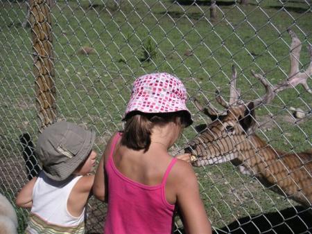 Parc animalier