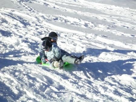Luge